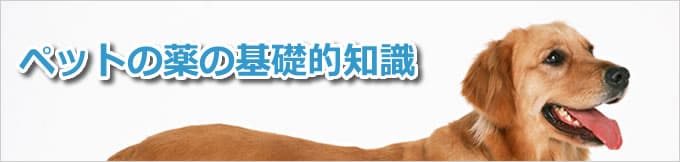 ペットの薬の基礎的知識