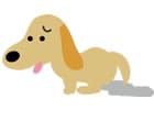 お漏らしした犬